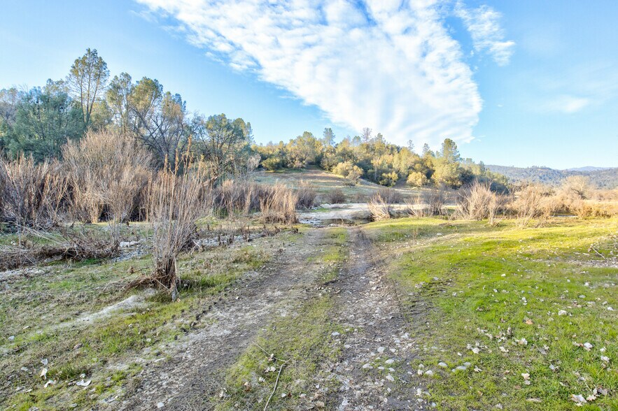 More Photos Of 50871 Road 200, O Neals Land For Sale