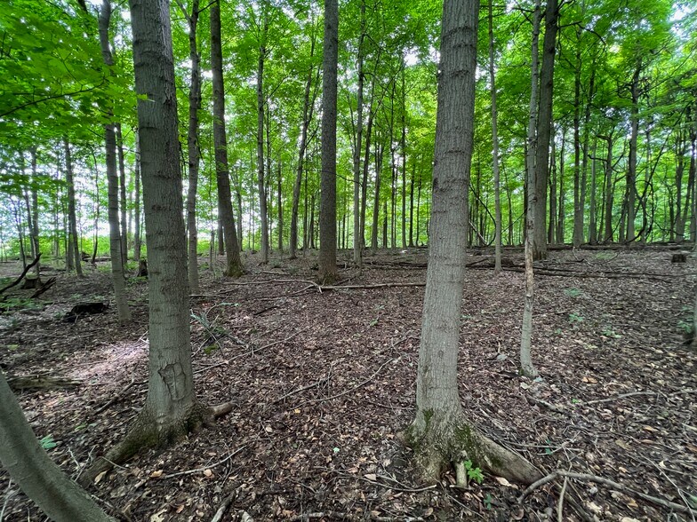 More Photos Of 6050 Riverview Rd, Peninsula Land For Sale