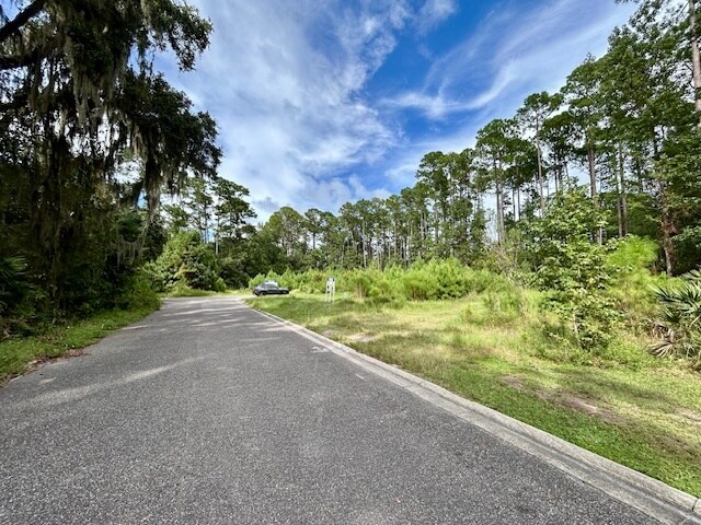 More Photos Of 97124 Elk Creek ct, Fernandina Beach Land For Sale