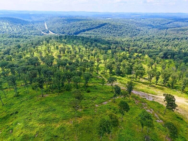 More Photos Of 4000 Sulgar Rd, Brookville Land For Sale