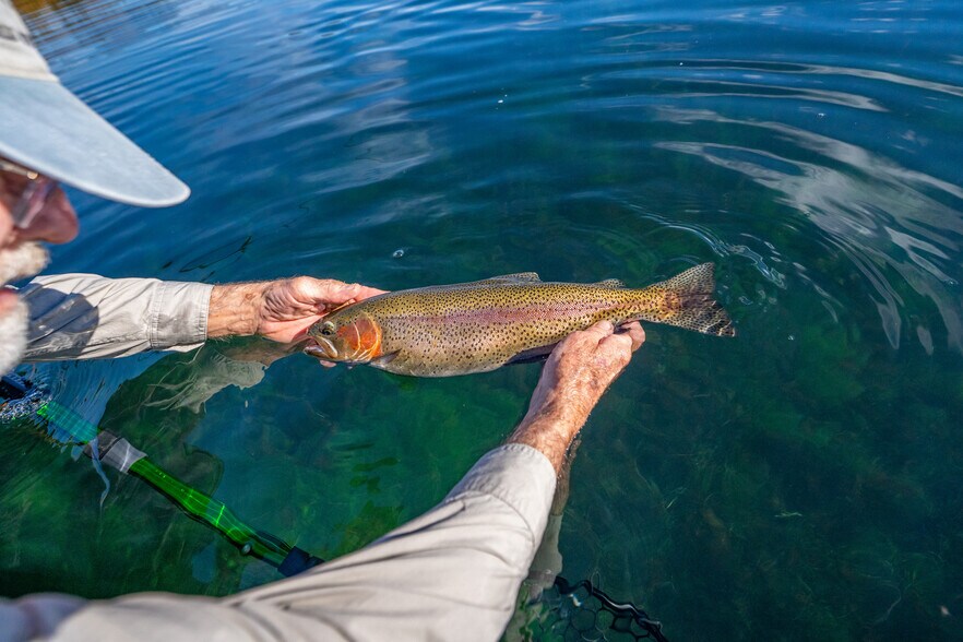 More Photos Of 41579 Osprey Rd, Fall River Mills Land For Sale