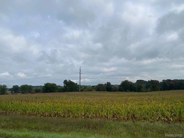 More Photos Of 7451 Fostoria rd, Mayville Land For Sale