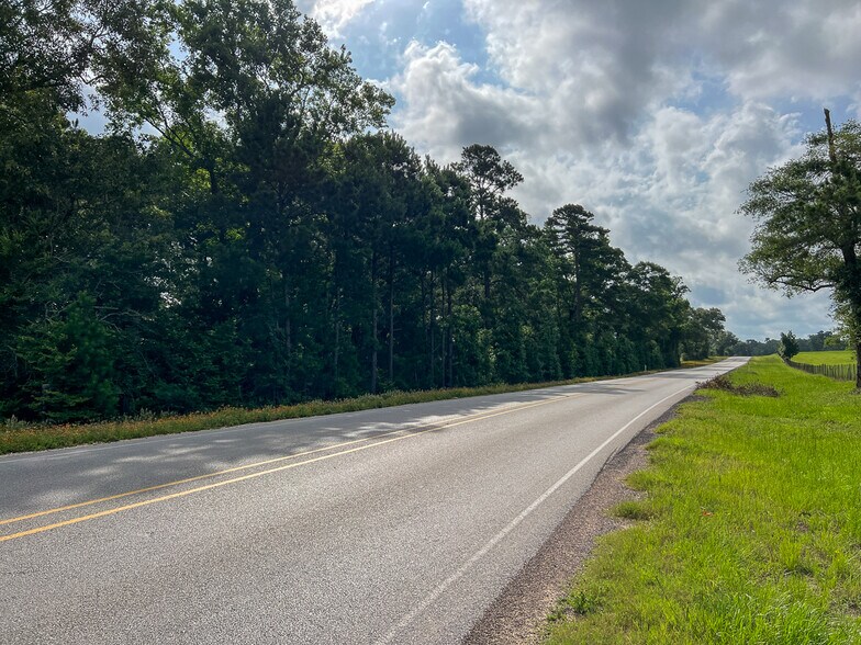 More Photos Of Farm to Market Road 1725, Willis Land For Sale