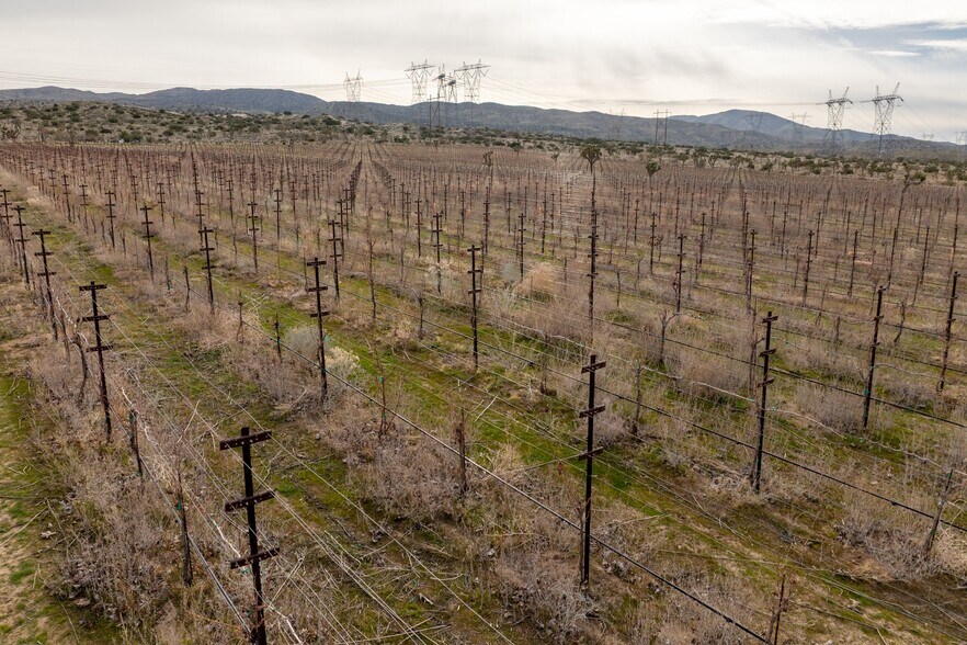 More Photos Of Fort Tejon Rd, Littlerock Land For Sale