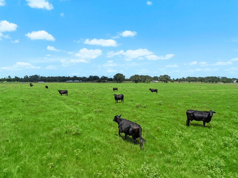 More Photos Of 35111 Tompkins Rd, Hempstead Land For Sale