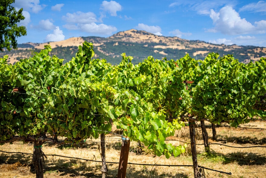 More Photos Of 4591 Abernathy Rd, Fairfield Land For Sale