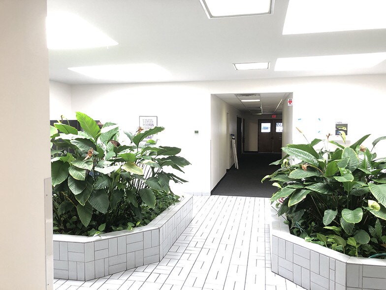 More Photos Of 2404 Rutland Dr, Austin Office For Lease