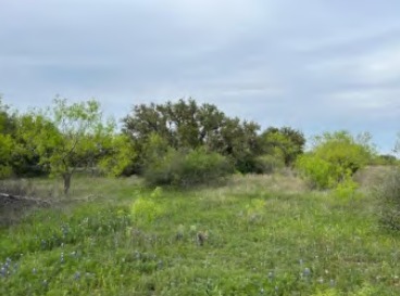 Primary Photo Of TBD County Road, Brookesmith Land For Sale