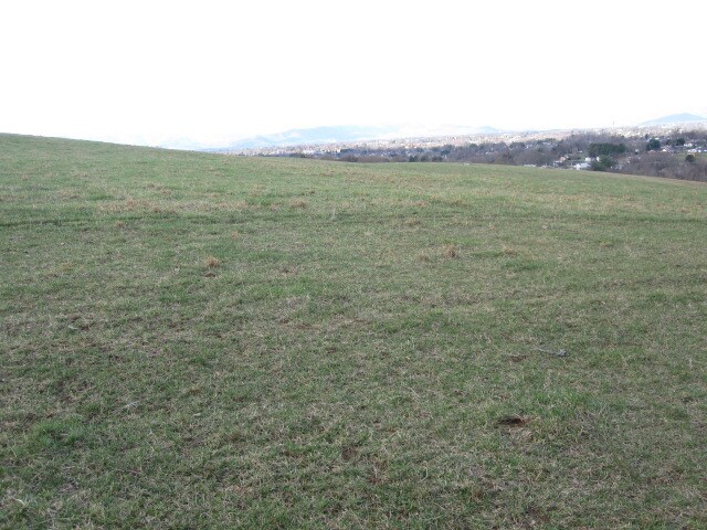 More Photos Of 6390 Old Mountain Rd, Roanoke Land For Sale