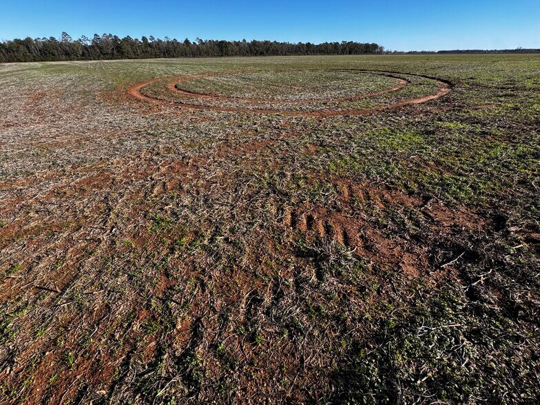 More Photos Of 0 Wiggins Road, Frisco City Land For Sale