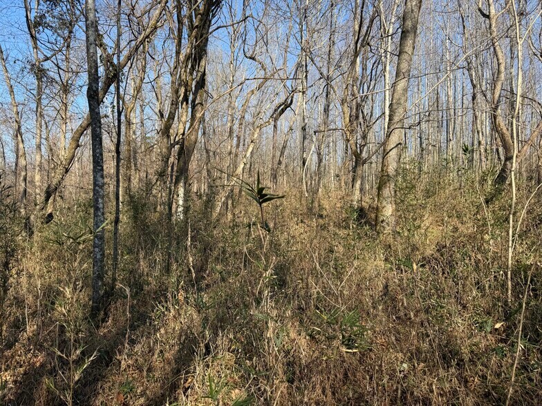 More Photos Of 4604 Summersville Rd, Campbellsville Land For Sale