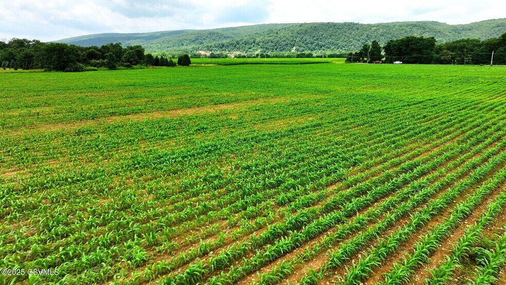 More Photos Of Sunbury Rd, Danville Land For Sale