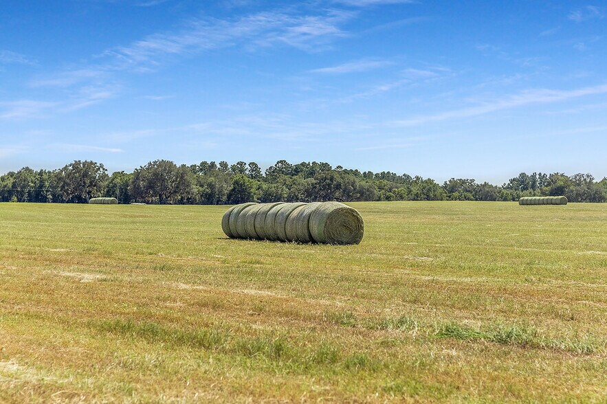 More Photos Of 1110 US Highway 280 W, Reidsville Specialty For Sale