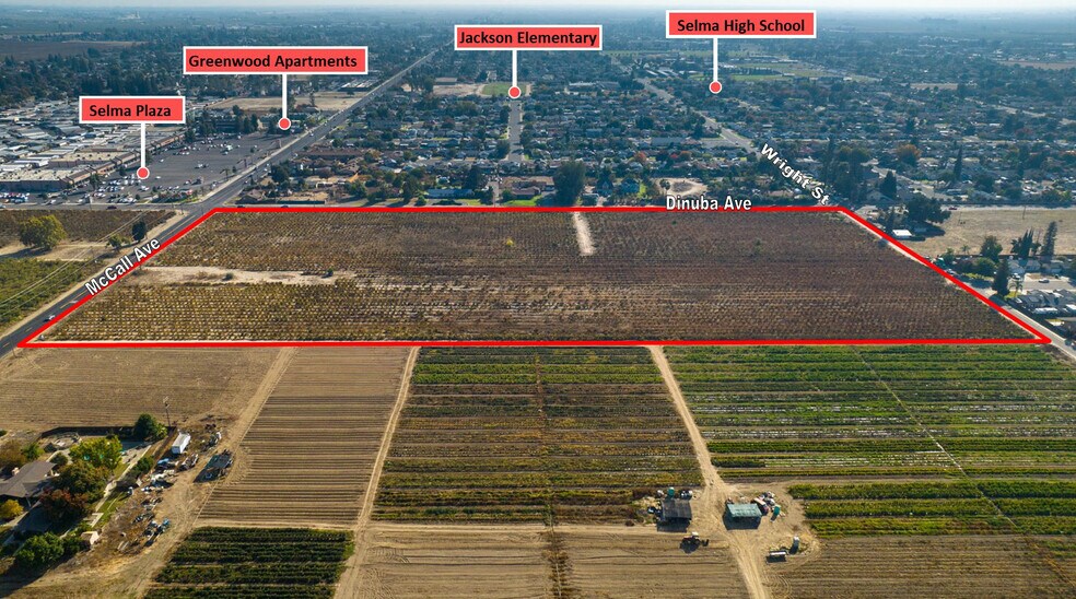 More Photos Of 9885 S McCall Ave, Selma Land For Sale