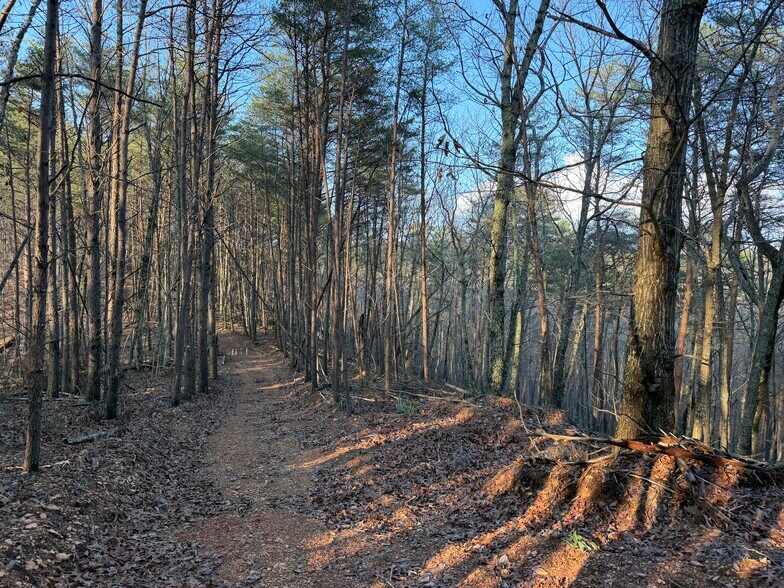 More Photos Of 260 Arnold Rd NE, Fairmount Land For Sale