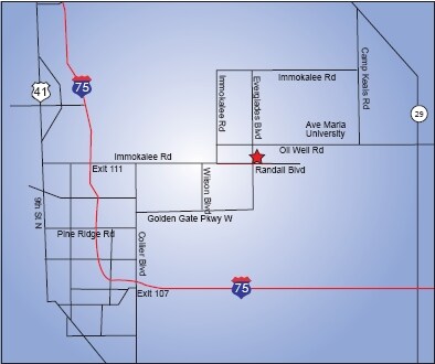 More Photos Of Randall Blvd @ Everglades Blvd., Naples Land For Sale