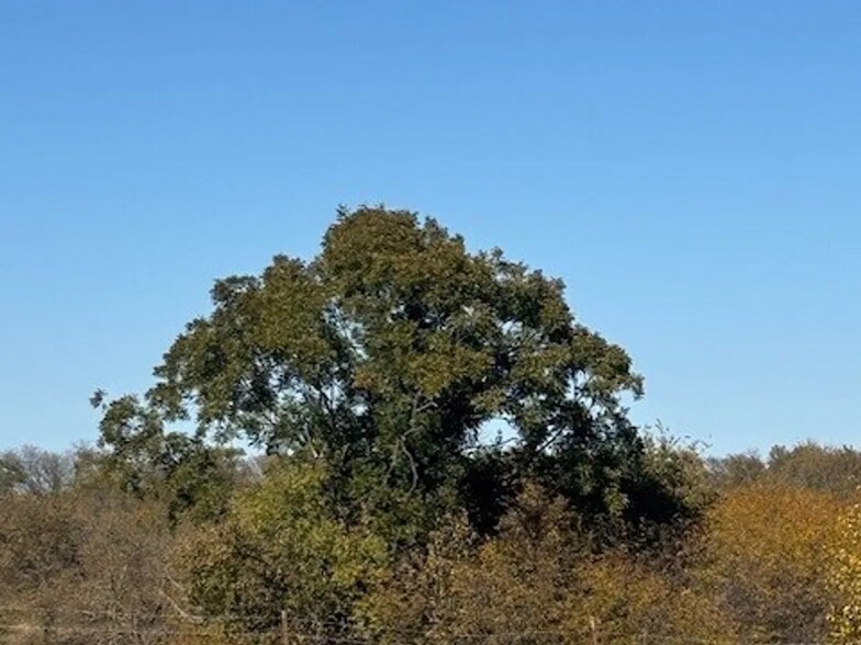 More Photos Of TBD Donald Rd, Krum Land For Sale