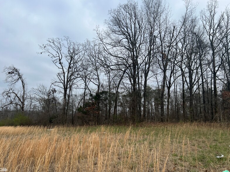 More Photos Of 0 Singleton, Memphis Land For Sale