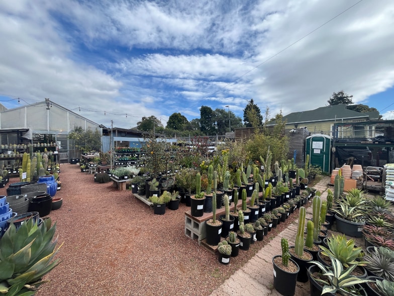 More Photos Of 1509 4th St, Berkeley Land For Sale