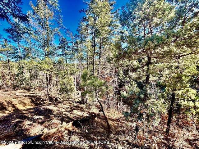 More Photos Of 523 Resort Dr, Ruidoso Land For Sale