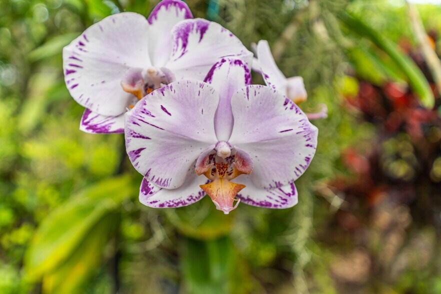 More Photos Of SW 236th Ave, Homestead Land For Sale