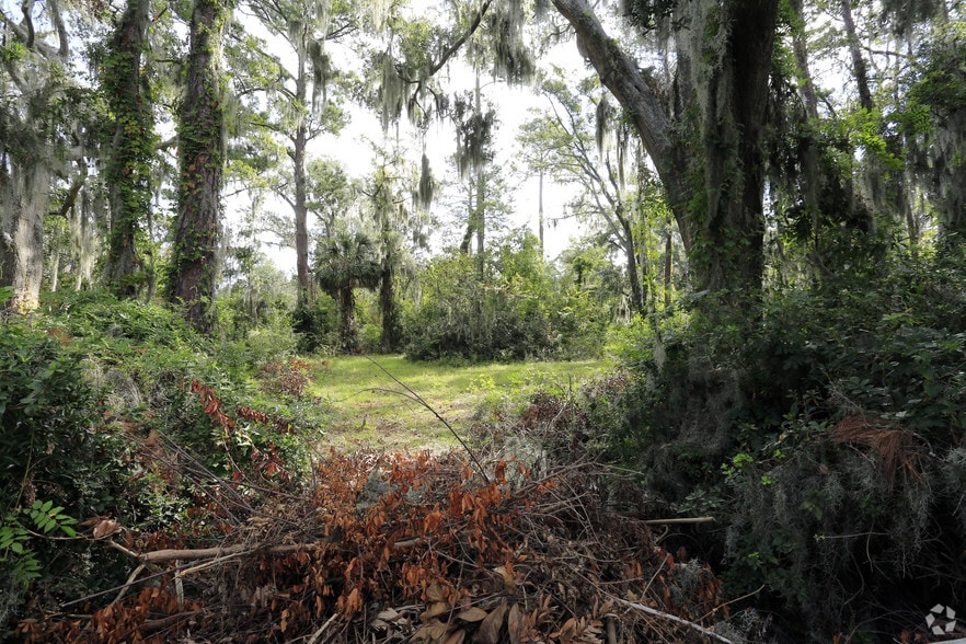 Primary Photo Of 10602 White Bluff Rd, Savannah Land For Sale