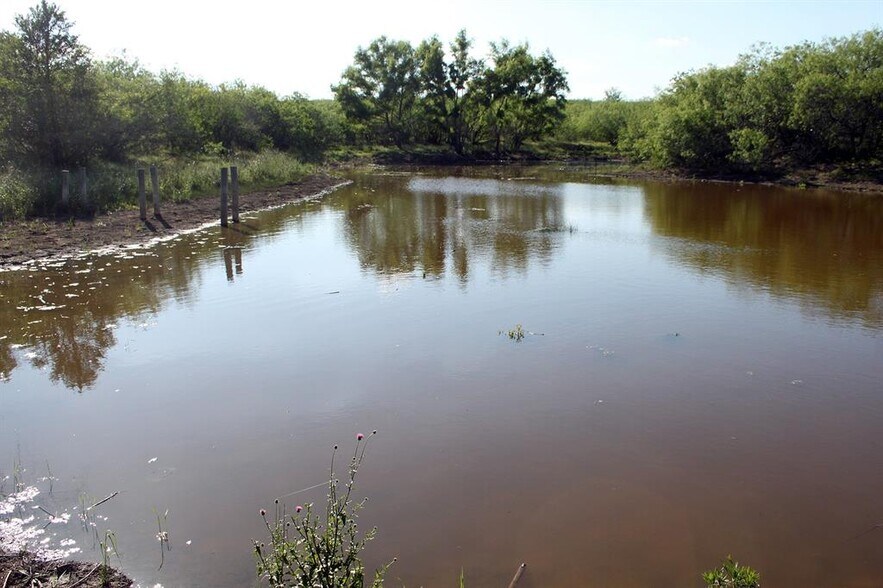 More Photos Of 8079 fm 2001, Niederwald Land For Sale