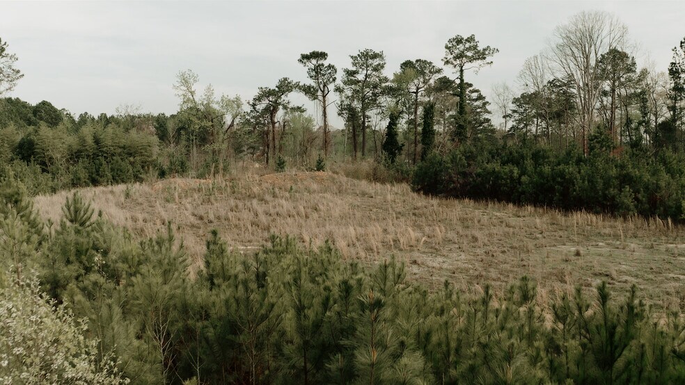 More Photos Of 531 Golden Springs Rd, Anniston Land For Sale