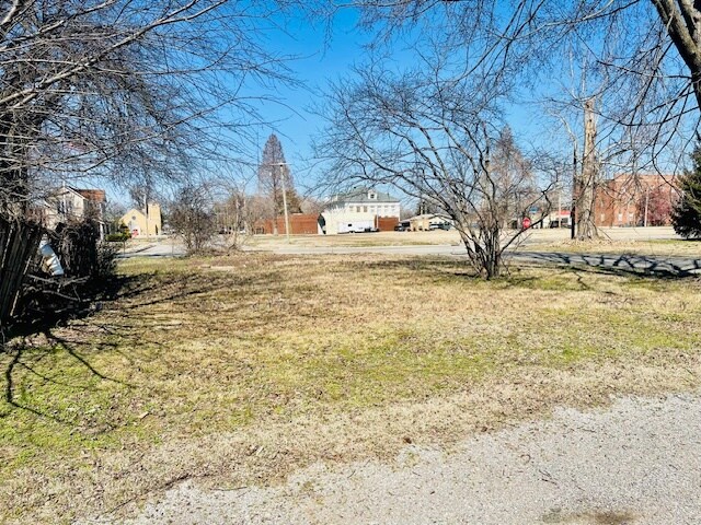 More Photos Of 602 Mill St, New Madrid Land For Sale