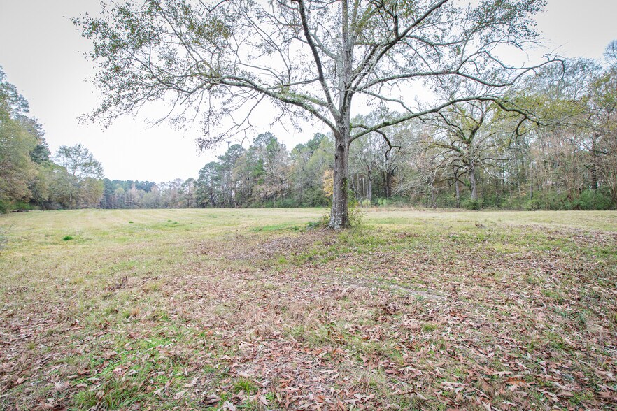 More Photos Of 8135 Cypress St, West Monroe Land For Sale
