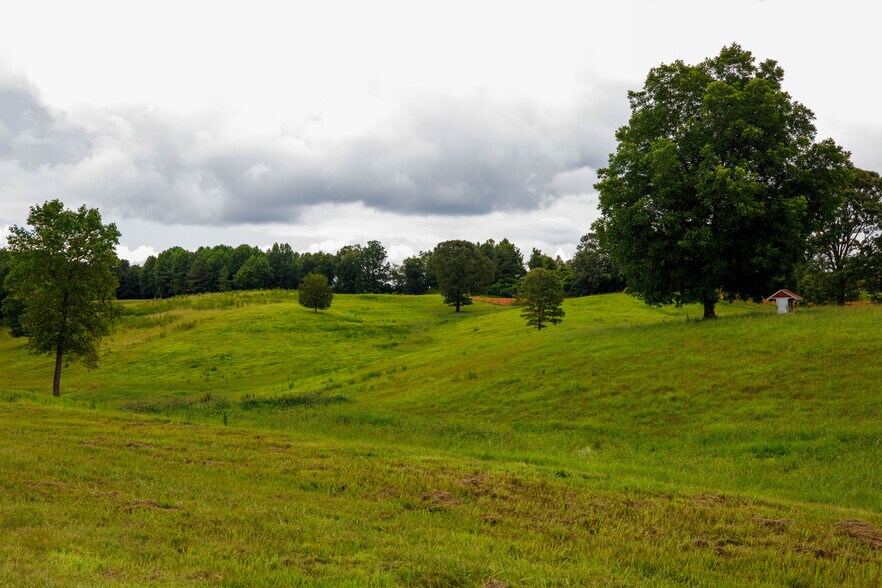 More Photos Of 3262 County Road 6, Hackleburg Land For Sale