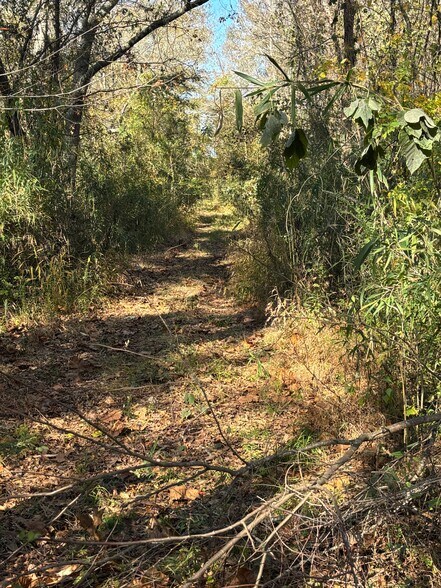 More Photos Of 169 Stone Dr, Belton Land For Sale