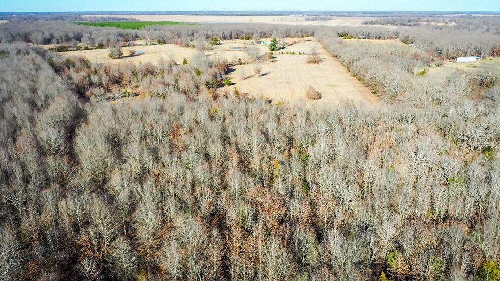 More Photos Of 1200 County 1255 rd, Detroit Land For Sale