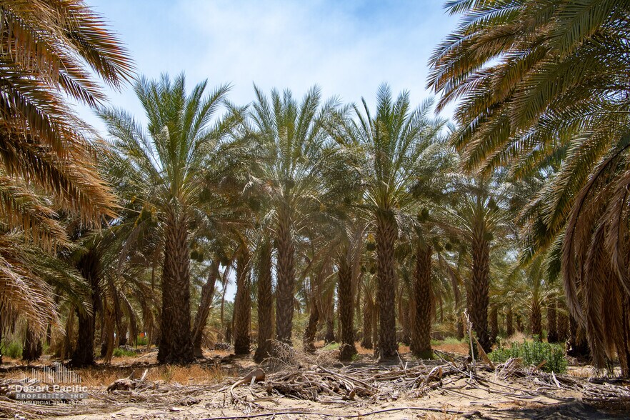 More Photos Of Ave 76 & Expwy 86, Thermal Land For Sale