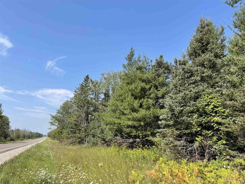 Primary Photo Of 80 Acres on M-94, Skandia Land For Sale