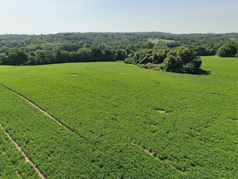 More Photos Of Walnut Hill Ln. (36.31+/- Acres), Elsberry Land For Sale