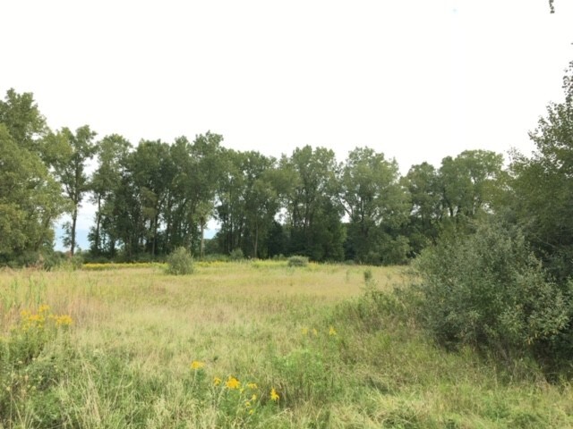 More Photos Of Oakville Waltz Rd, Ash Twp Land For Sale
