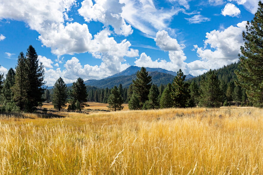 Primary Photo Of Meadow Way, Portola Land For Sale