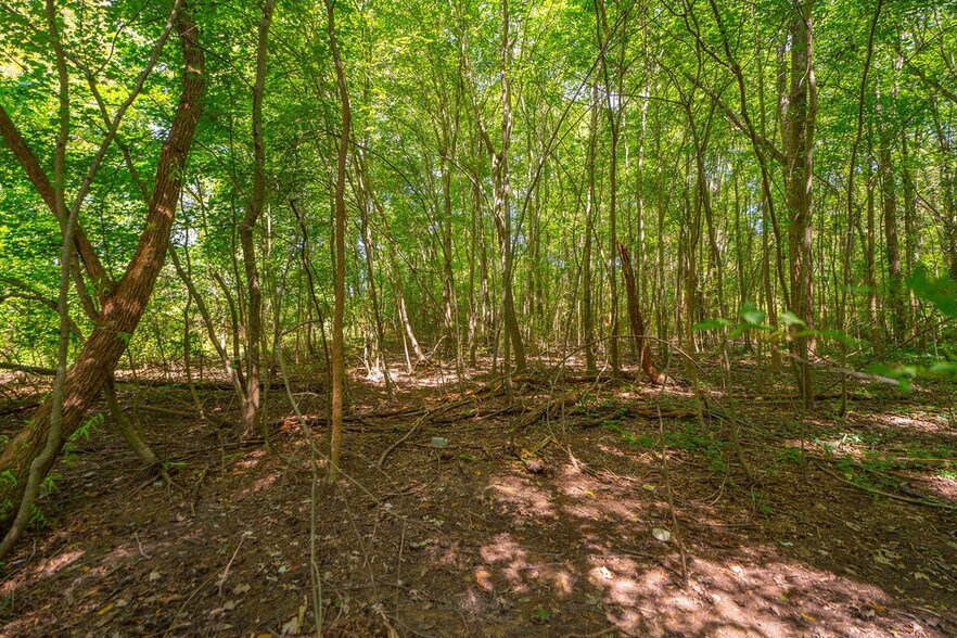 More Photos Of 1244 Anderson Rd S, Rock Hill Land For Sale