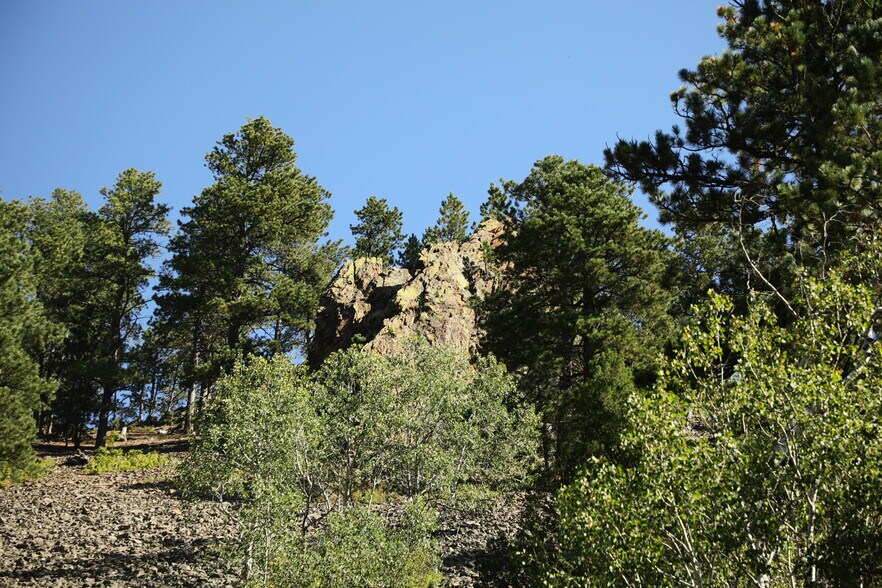 More Photos Of TBD Cutting Mine Road, Lead Land For Sale