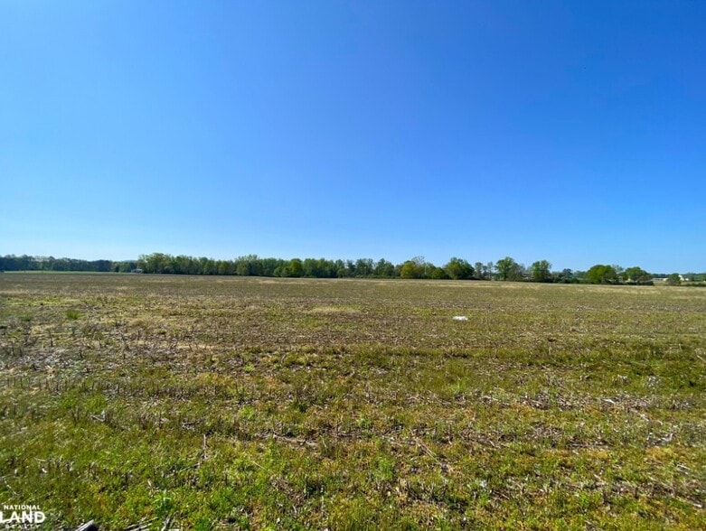 More Photos Of 3098 N HWY 171, Fayette Land For Sale