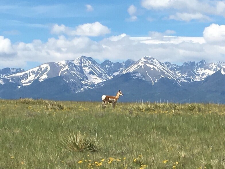 More Photos Of 525 Brush Hollow Rd, Westcliffe Land For Sale