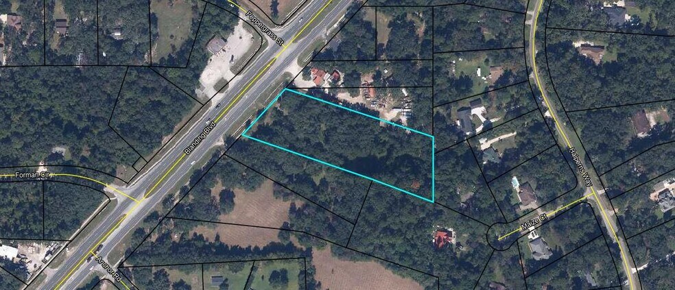Primary Photo Of 2819 Blanding Blvd, Middleburg Land For Sale