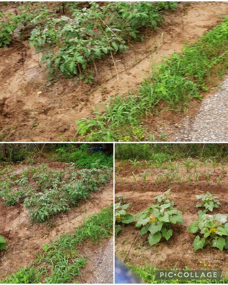 More Photos Of 10774 County Road 494, Tyler Apartments For Sale