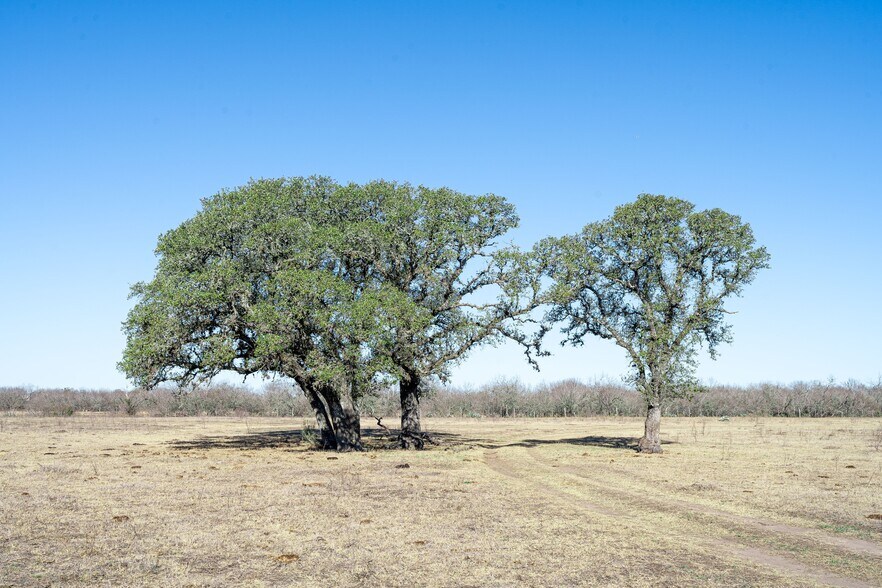 More Photos Of TBD Richards Dr, Del Valle Land For Sale