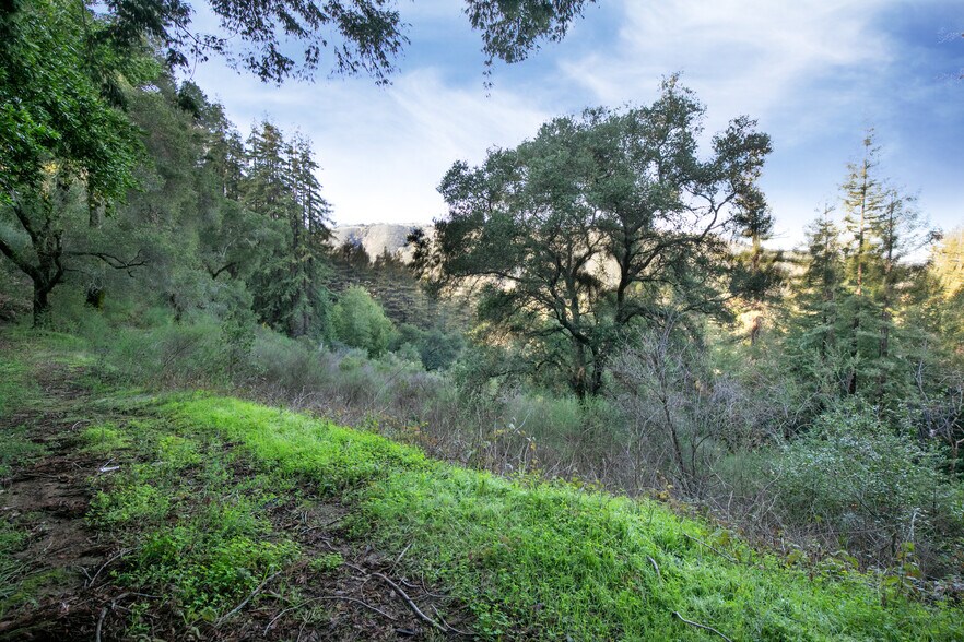 More Photos Of 18655 Black, Los Gatos Land For Sale