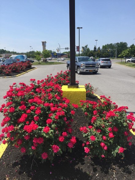 More Photos Of 1000 Hylan Dr, Henrietta General Retail For Lease