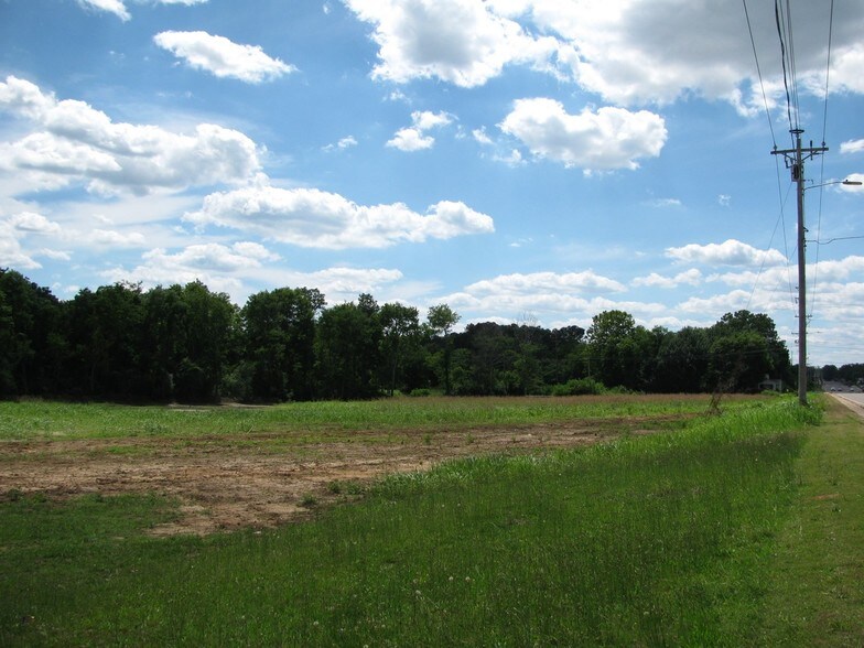 More Photos Of 314 S Palmer St, Adamsville Land For Sale