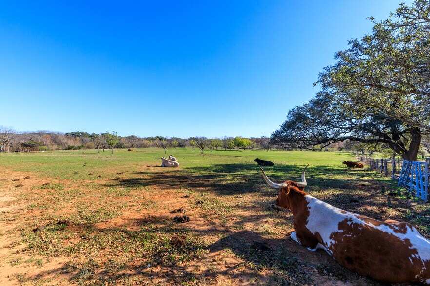 More Photos Of 308 Oakhaven Ln, Fredericksburg Land For Sale