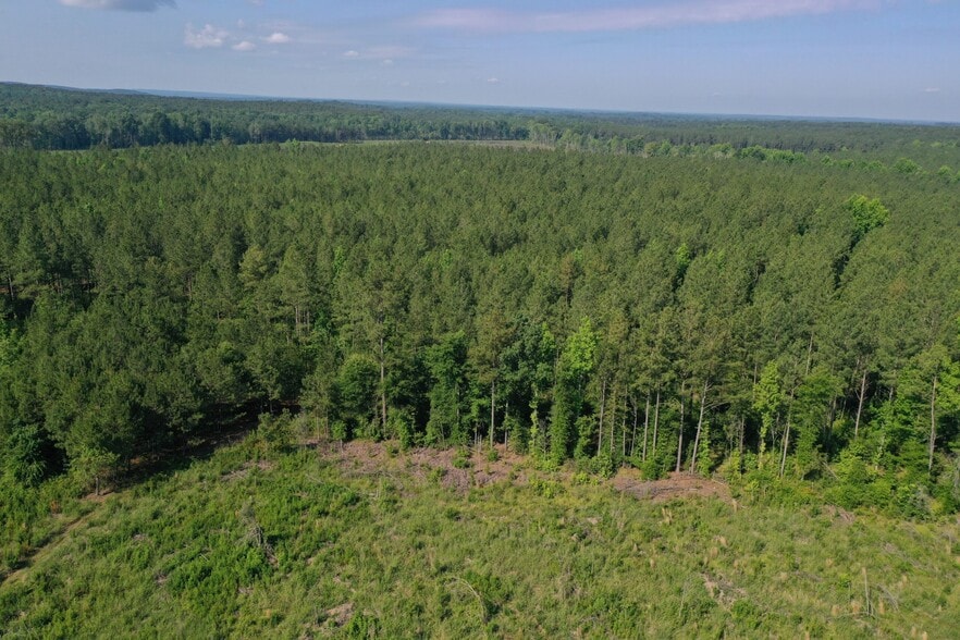More Photos Of 00 Everett Chappell Rd, Mount Gilead Land For Sale